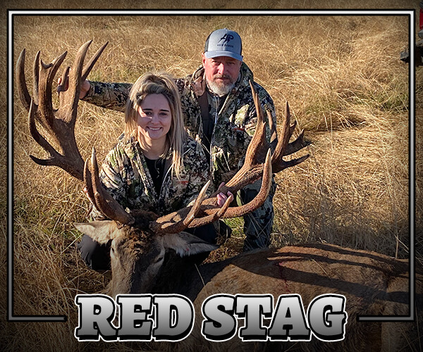 Red Stag